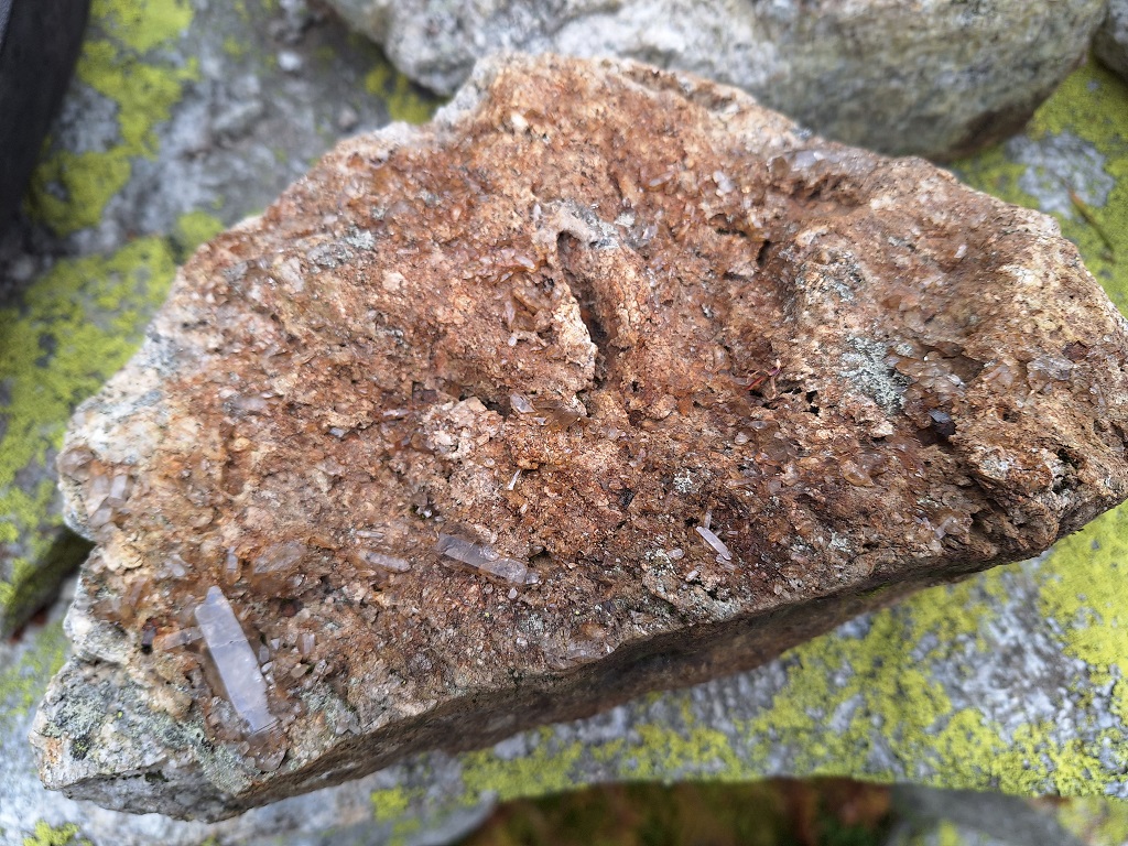 1709410744-20230916_164129.jpg 1709410744-20230916_164129.jpg