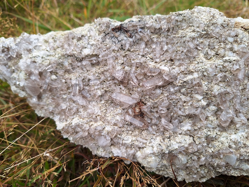 1709410769-20230916_170024.jpg 1709410769-20230916_170024.jpg