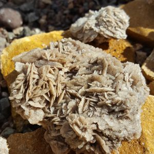 Kristallen edelstenen mineralen zoeken in Fuertaventura