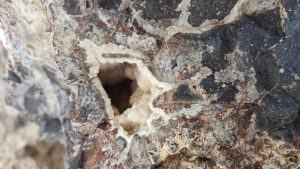 Mineralen zoeken in Fuertaventura