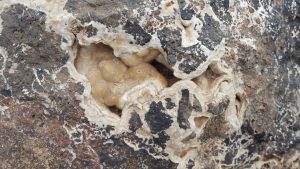 Mineralen zoeken in Fuertaventura